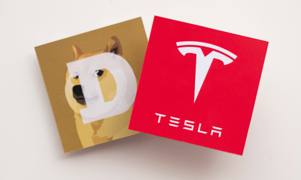 Tesla reports record sales plunge in 2025 as Elon Musk’s Trump ties stir backlash