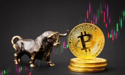 Altcoins Explode as Bitcoin Dominance Holds Steady—Analysts Predict Massive Altcoin Bull Run