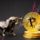 Altcoins Explode as Bitcoin Dominance Holds Steady—Analysts Predict Massive Altcoin Bull Run