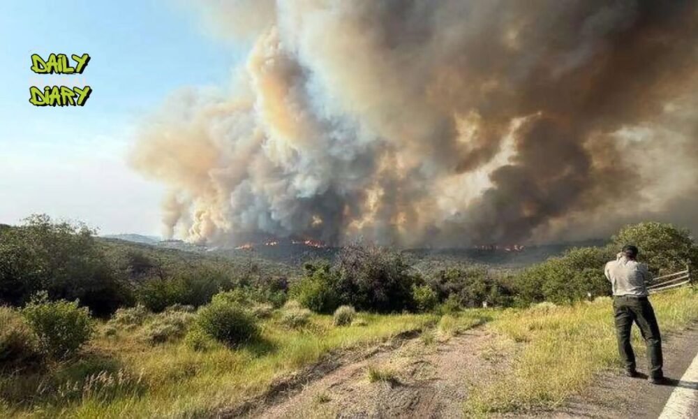 South Rim Fire Prompts Evacuations in Montrose County, Black Canyon National Park Closed