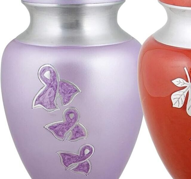 10 best cremation urns for ashes in USA