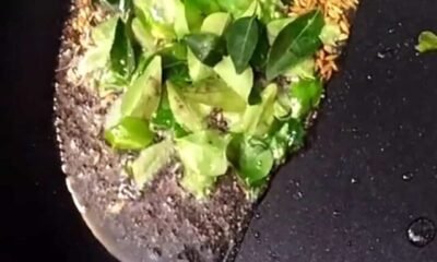 add_mustard_seeds_cumin_curry_leaves