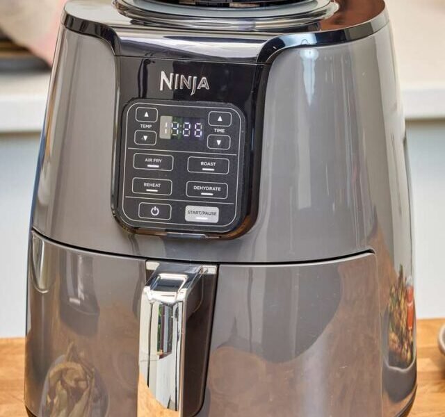 faw-air-fryers-afto-oct-24-test-ninja-af101-4-quart-nsimpson-762-86e648b14d7a4eb296c0606f570c016c