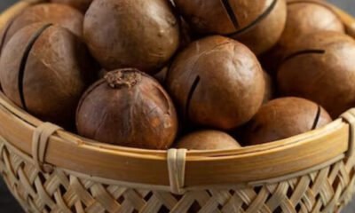main-macademia-nuts