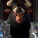 pp_ferdinand_herobanner_mobile_21385_80525116