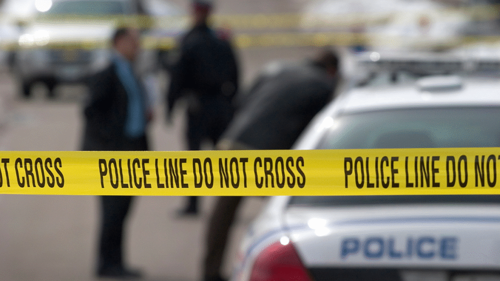Brooklyn lounge shooting leaves 3 dead and 9 injured as NYPD searches for multiple suspects after violent gang-related dispute