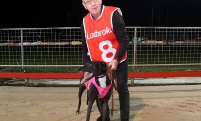 Skedaddle Arlo Chases Megastar Glory at Dapto’s Final Greyhound Race Meeting