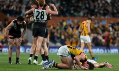 Hawthorn Hawks Survive GWS Giants Comeback in AFL Elimination Final