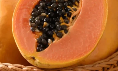 brgbs3oo_papaya_625x300_19_June_24