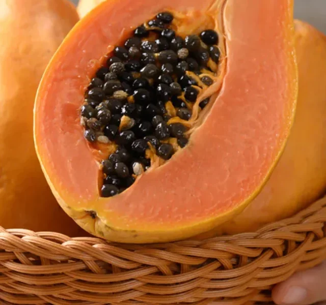 brgbs3oo_papaya_625x300_19_June_24