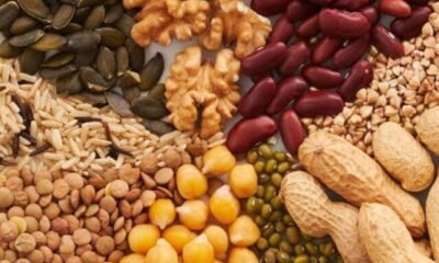 nuts_and_seeds_ed4544de-a8c0-4d8e-90d0-df9a9f31c00b