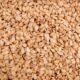 sesame-g6ebe652b9_1920_11zon