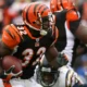 Former Bengals Star Rudi Johnson Dies at 45 Police Suggest Suicide