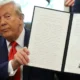 Trump's H-1B and Student Visa Rules Affect Indian Marriages and Study Dreams: Here’s How