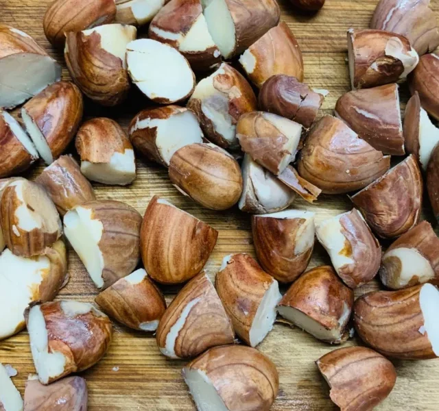 steamedjackfruitseeds_1024x1024@2x