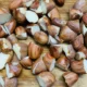 steamedjackfruitseeds_1024x1024@2x