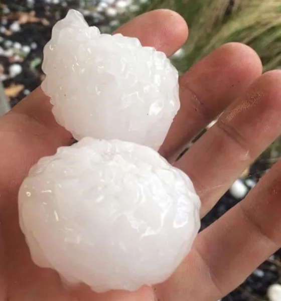 Severe Storm Warning for NSW & Queensland: Giant Hail (>5 cm) and 125 km/h Winds Forecast