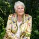 Judi Dench Reveals She “Can’t Recognize Anybody Now” Due to Worsening Eye Condition