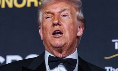 Meet the South Park Writer Mocking Trump Politics Through Domain Names