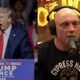 Joe Rogan Reveals Surprising Donald Trump Phone Call Story That Shocked Even Jensen Huang
