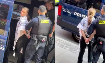 Greta Thunberg Arrested in London at Pro-Palestine Protest Under Terrorism Act
