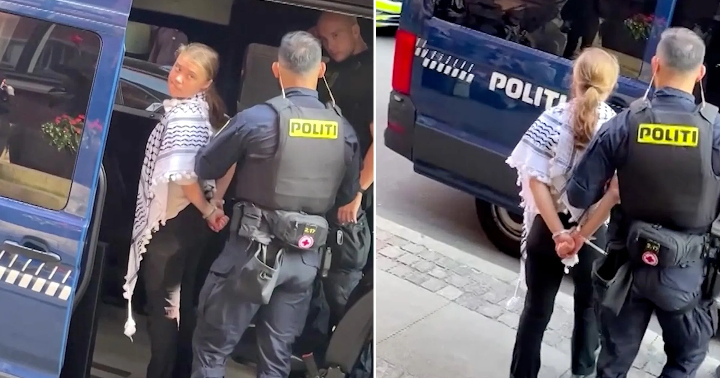Greta Thunberg Arrested in London at Pro-Palestine Protest Under Terrorism Act