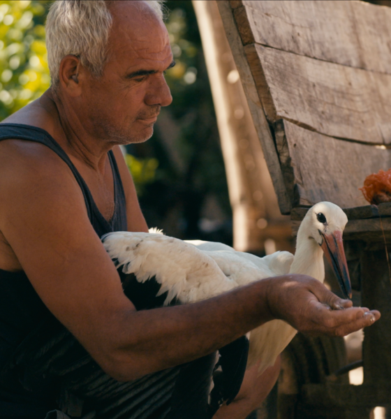 ‘The Tale of Silyan’ Wins Best Feature at IDA Documentary Awards