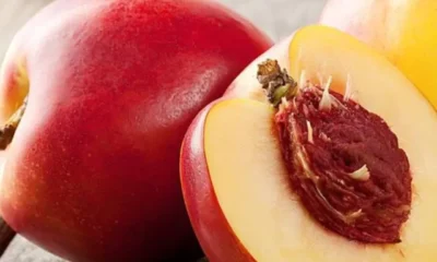 928-14-Amazing-Health-Benefits-Of-Nectarines_1200px.jpg
