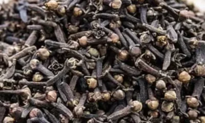cloves-2485102_640