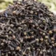 cloves-2485102_640