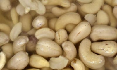 soaked-cashews-nuts