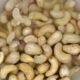 soaked-cashews-nuts