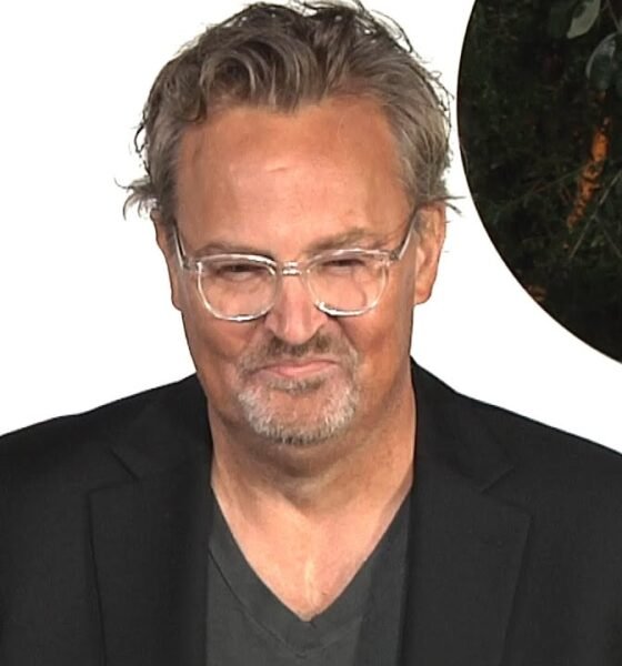 Man in black blazer and shirt