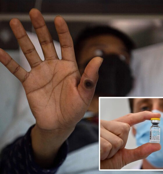 Kent Meningitis Outbreak: Second Student Dies as 11 Others Hospitalized
