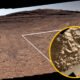 NASA Curiosity Rover Finds Spiderweb Ridges on Mars Hinting at Ancient Water