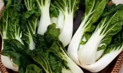 493ss_Thinkstock_rf_bok_choy_in_bowl