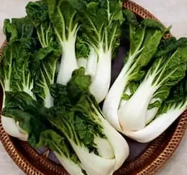 493ss_Thinkstock_rf_bok_choy_in_bowl
