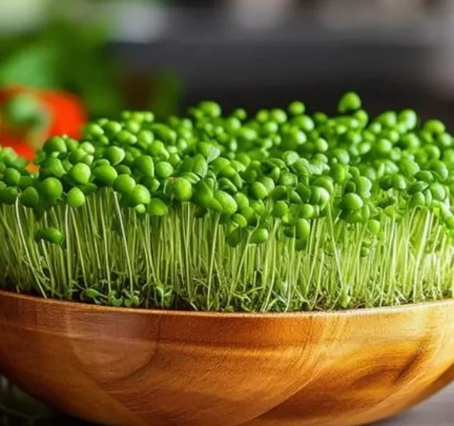 What_Is_so_Special_About_Microgreens_0005