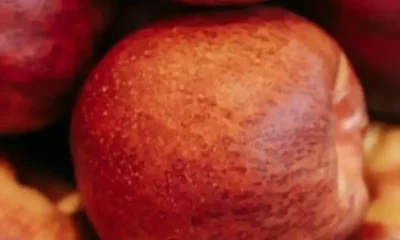 l83820250618190003