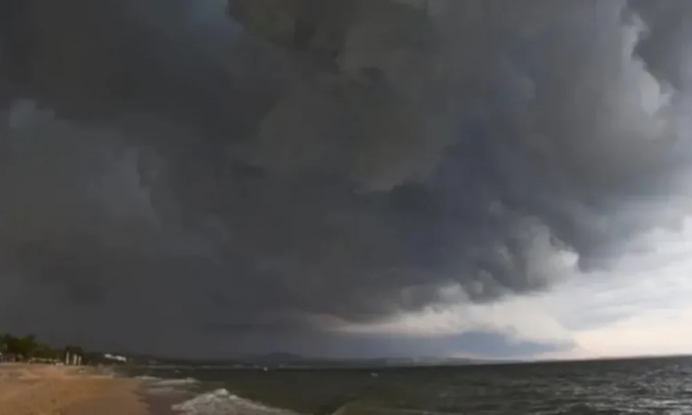 Brace Yourself! A Powerful Western Disturbance Is Coming — Rain, Hailstorms and Cold Blast to Hit North and West India This Week