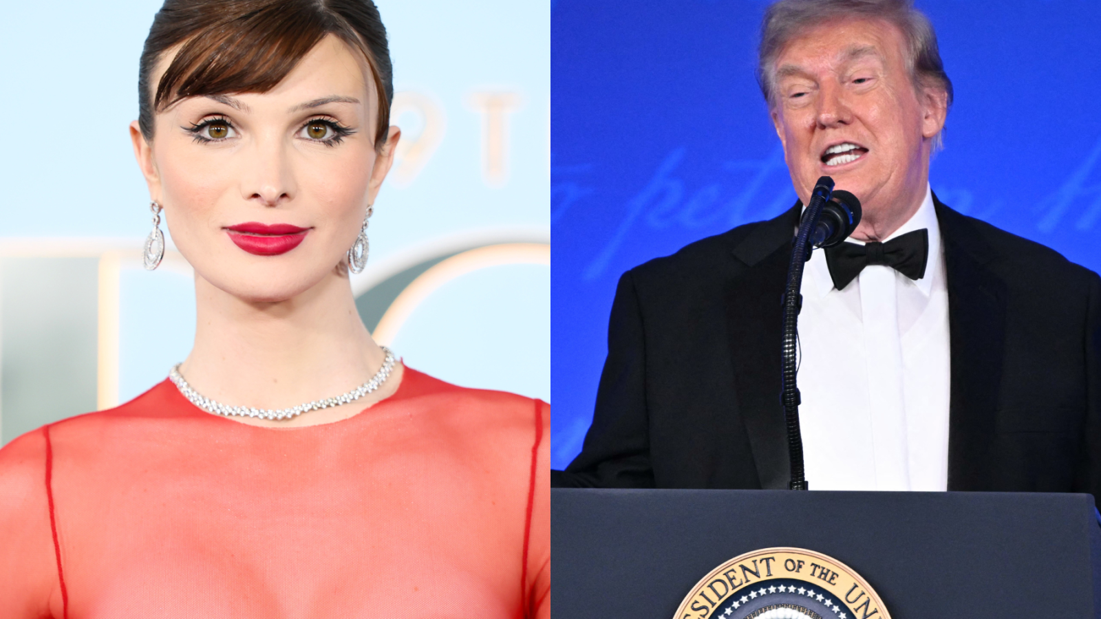dylantrump 1 Daily Global Diary - Authentic Global News